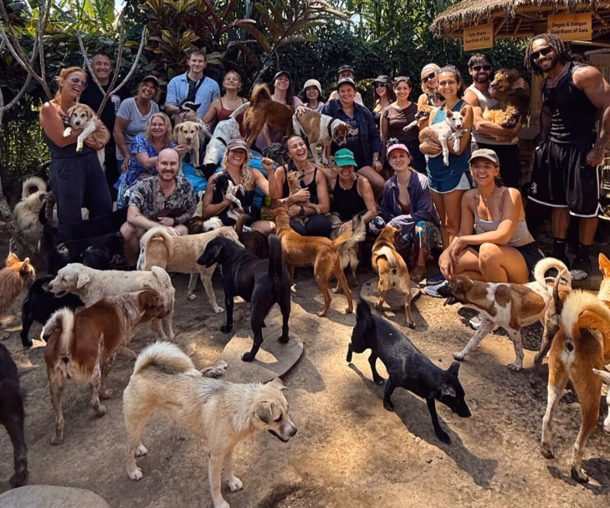 A Dog House group surrounded by rescue dogs at Gaia Island of Dogs sanctuary