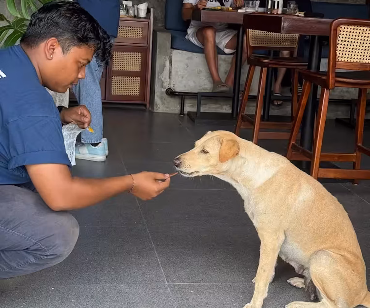 Showing kindness to a rescue dog