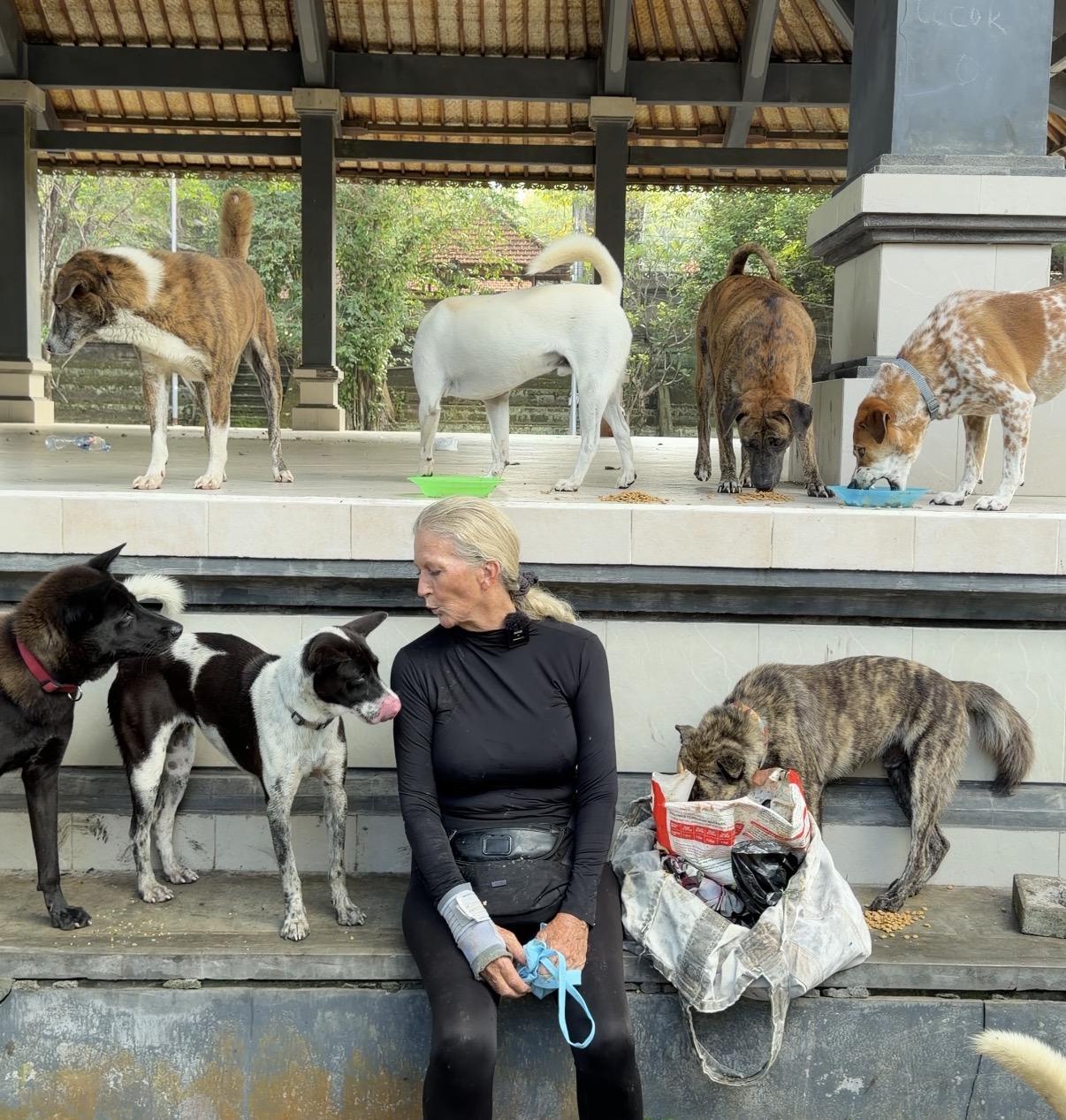 A solo rescuer hand-feeding street dogs in Berawa, Canggu